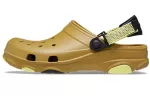 Crocs Classic Clog Crocs Praia Unissex Sandálias Verdes
