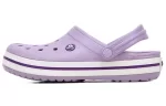 Crocs Classic Tamanco Bayaband ‘Roxo’ 11016-50Q