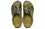 Crocs x Coágulo Classic Entupir ‘Aloe’