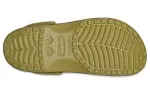 Crocs x Coágulo Classic Entupir ‘Aloe’